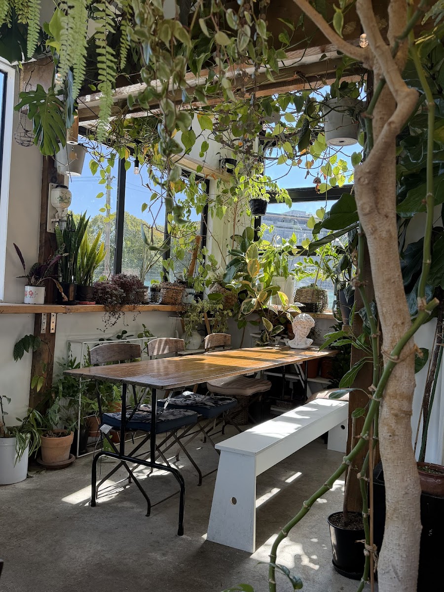 Little Merchants Coffee Photos 2